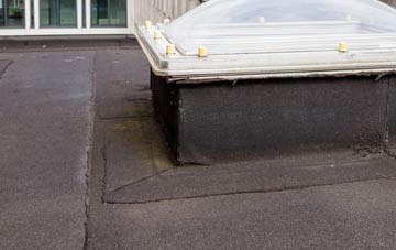 disadvantages of Devauden flat roofs