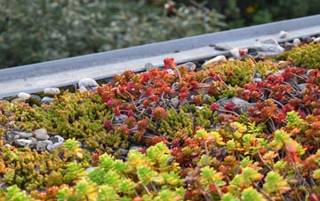 the cost of Devauden green roof installation