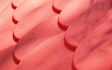 Devauden plastic roof costs