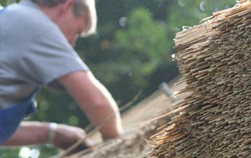 professional Devauden thatchers