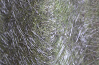 Devauden fibreglass roof work