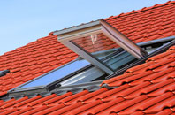 Devauden roof window